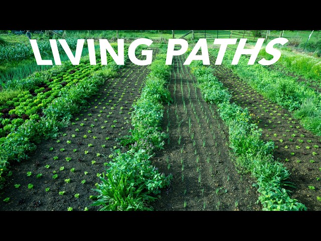 Lessons in Living Pathways