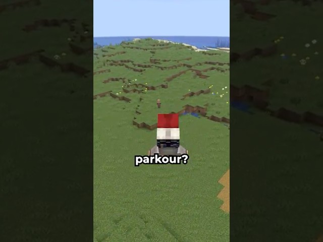 what if minecraft had parkour?