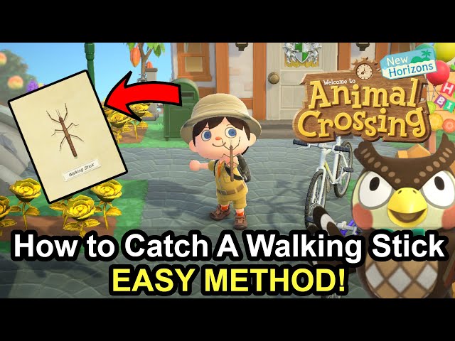 ACNH: How to Catch the Walking Stick EASY METHOD!