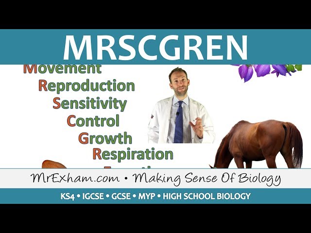 MRSCGREN Characteristics of Living Things - GCSE Biology (9-1)