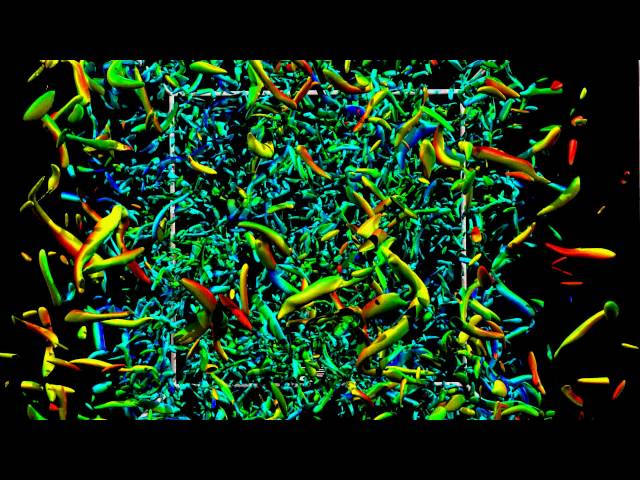 The Shock and The Turbulence. The story of an interaction