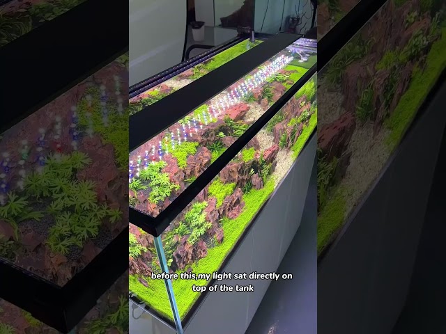 Give Your Aquarium Better Light Coverage
