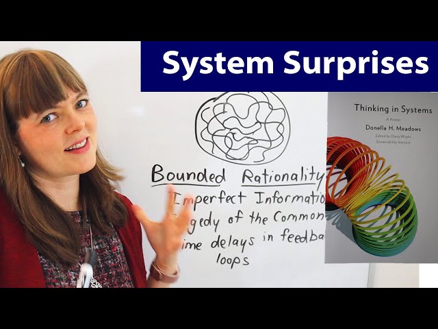 Thinking in Systems, Ch. 4: Why Systems Surprise Us
