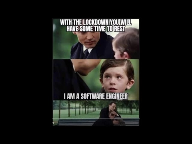 developer life