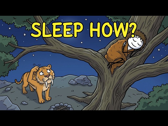 How Did Ancient Humans Sleep at Night?
