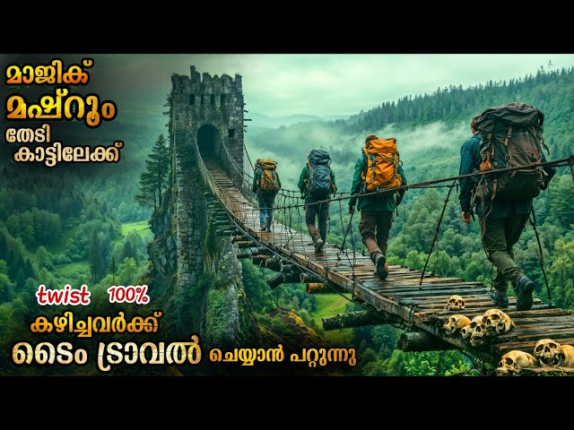 മഷ്റൂം ലഹരി തേടി പോയവർക്ക് കിട്ടിയത് ടൈം ട്രാവലും മരണവും | നമ്മുടെ വിചാരിക്കുന്നത് പോലെയല്ല ഈ കഥ 