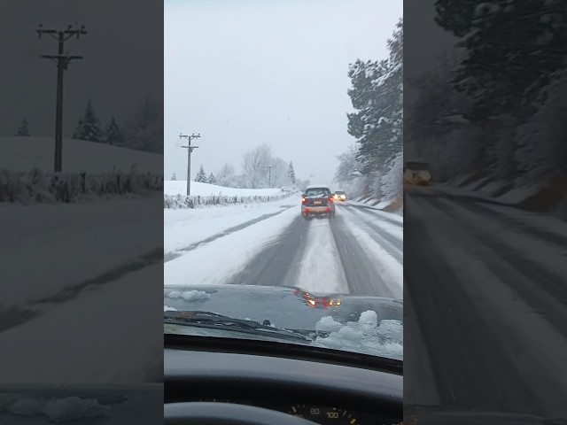 40kph in an 80 zone?? Some people... 🙄