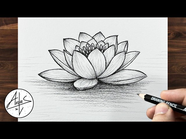 How to Draw a Beautiful Lotus Flower 🌸 | Easy Pencil Drawing Step by Step