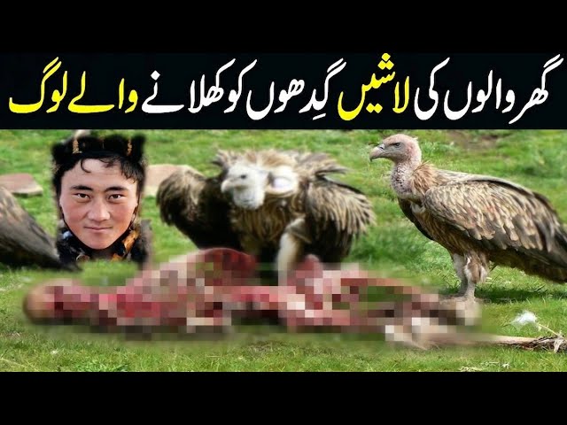 Strange Burial Rituals of the Parsi Community | D-TV