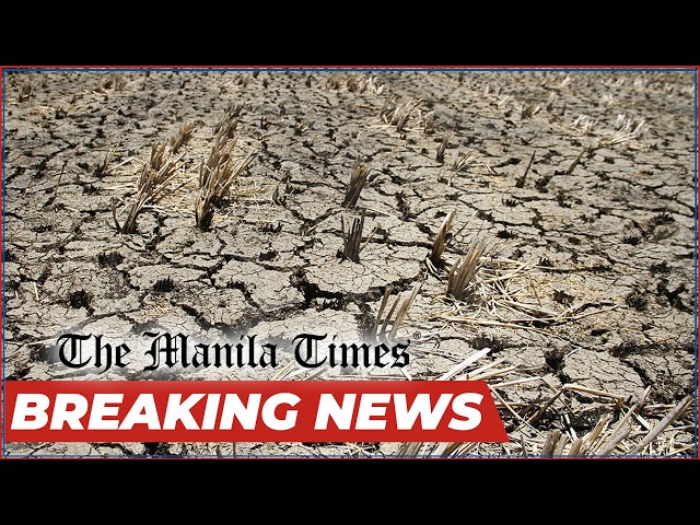 BREAKING: Super El Niño expected to see temperatures as high as 38.7 degrees Celsius