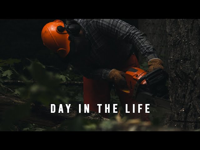 Day In The Life of a Logger