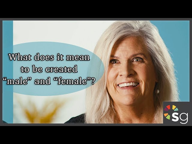 Captivating - Bible Study with Stasi Eldredge - Session 1 Preview