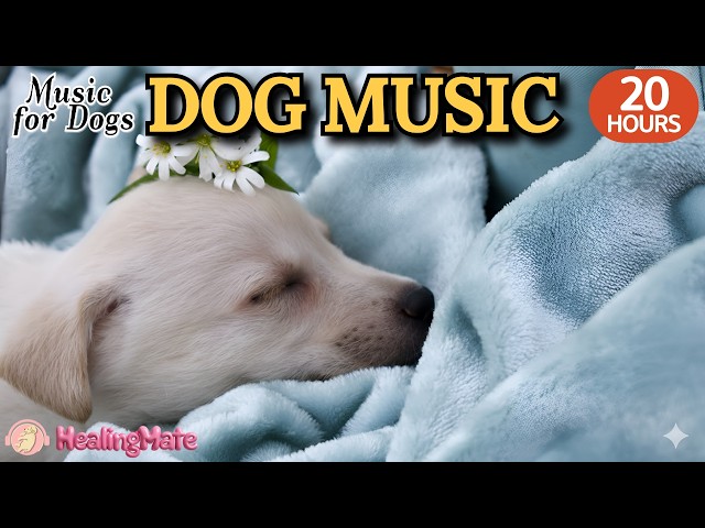 20 HOURS of The Most Relaxing Music for Dogs 🐶Deep Separation Anxiety Music🐶💖Deep sleep Dog Music