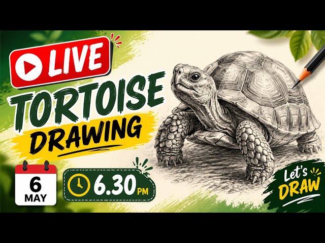 🐢 LIVE Tortoise Drawing at 6:30 PM | Easy Realistic Sketch Tutorial 🎨