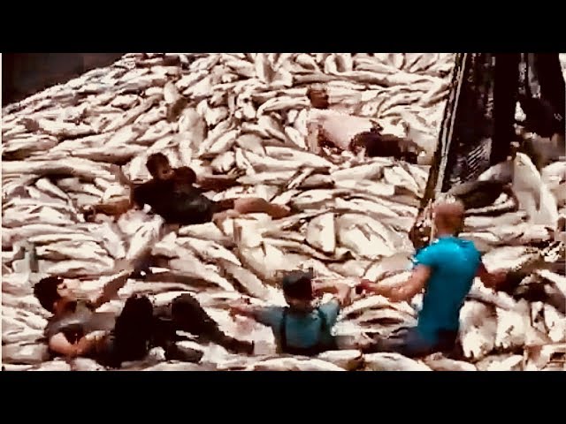 MAN AND BEAST - Part 55
