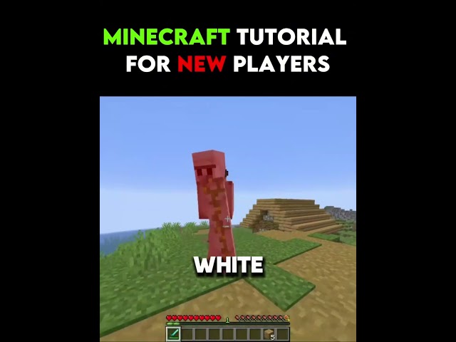 Minecraft Tutorial for New Players!💀100% real😂