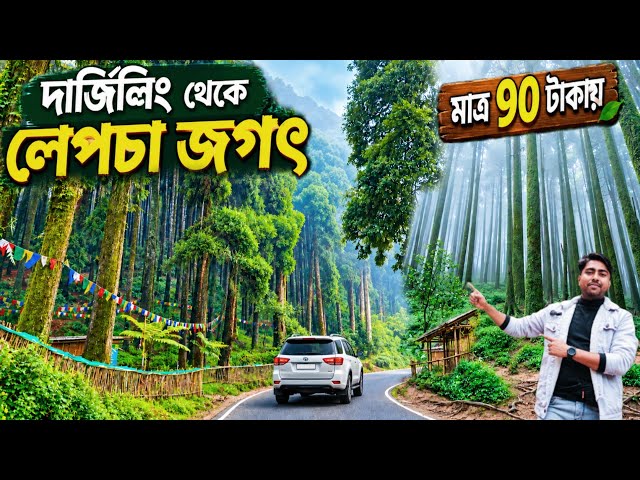 Lepchajagat Tour | Lepchajagat Darjeeling | Lepchajagat Pine Forest | Darjeeling To Lepchajagat |
