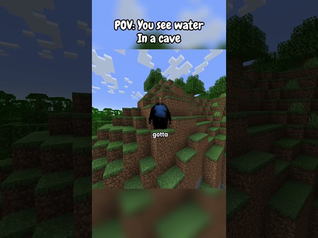 Cant resist it! 🔥🔥 #tweening #minecraftmemes