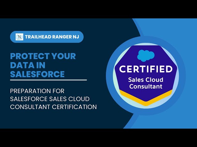 Protect Your Data in Salesforce | Challenge 1 to 5