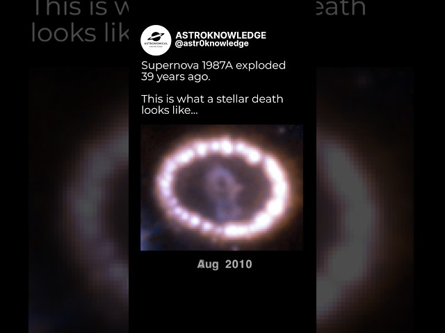 Timelapse of a SUPERNOVA | Supernova 1987A explosion #astroknowledge #scary #space