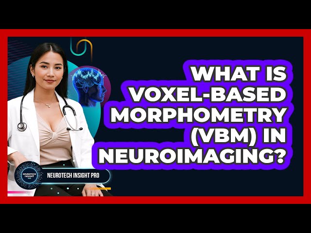 What Is Voxel-Based Morphometry (VBM) In Neuroimaging? - Neurotech Insight Pro