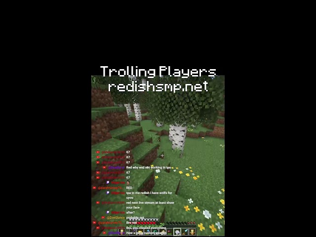 RedishSMP - NEW QUESTS ADDED + GOD GEAR TESTING (Portrait)