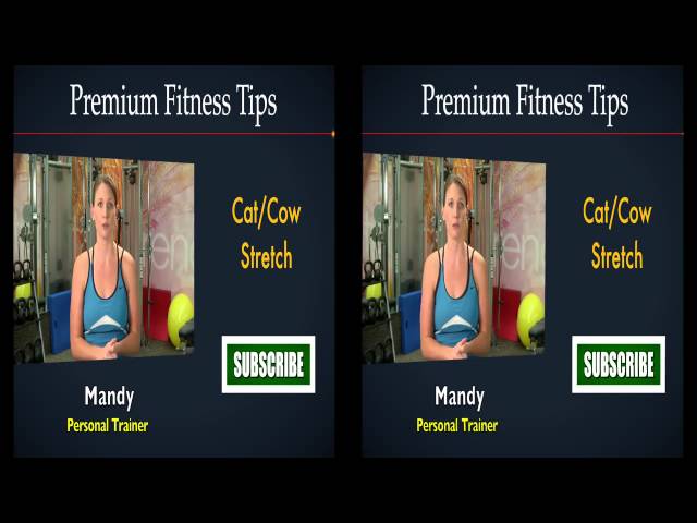 #FITIN15 #Workout 6: Chair Yoga Full Length 15-Minute Flexibility Building Fitness Program