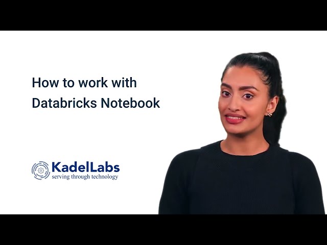 How to work with Databricks Notebook