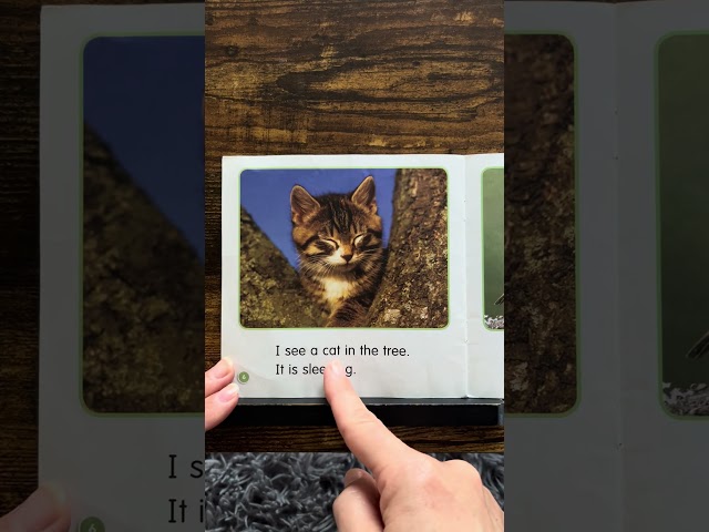 IN THE TREE | Kindergarten Reading Practice! | Guided Science Reader | #readaloud #esl