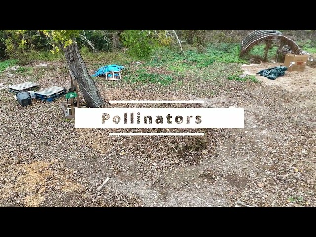 Food Forest Project Part 1