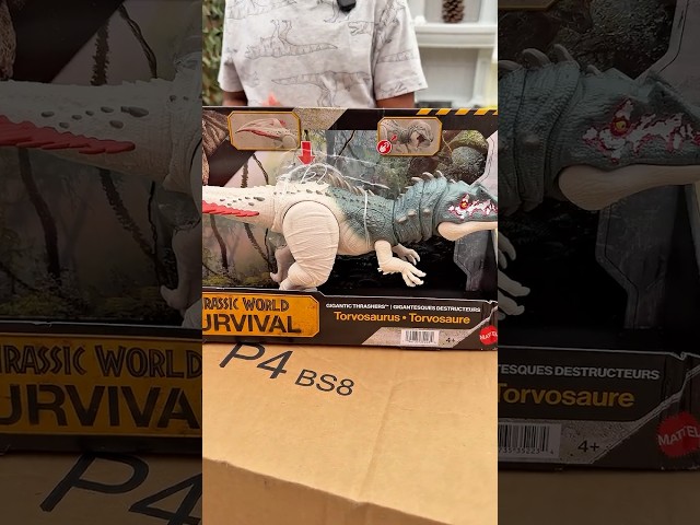 Jeremy’s mystery package    #shortvideo #kids #shorts