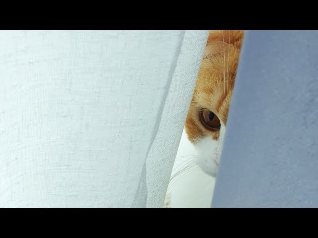 [180 3D] verelife 7 지켜보고 있다. (Watching you)
