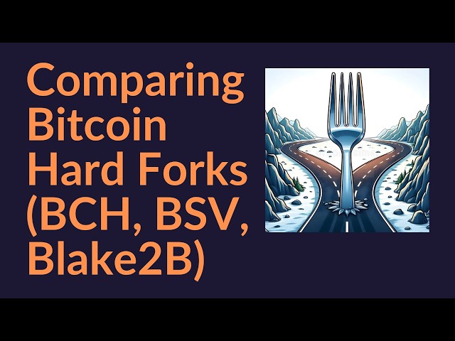 Comparing Bitcoin Hard Forks (BCH, BSV, Blake2B)