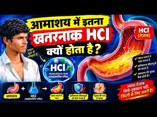 😱 हमारे आमाशय में इतना खतरनाक HCl क्यों होता है? | पेट का Acid खाना कैसे पचाता है? 🧪#biology