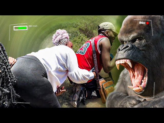 ATTACKED By a Chimpanzee On Safari!⛔️😭 One of Us Got Injured 💔