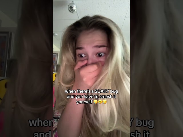 TERRIFYING bug invades my house 😭