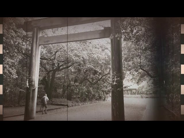 The Spirit Path: Traditional Japanese Shrine ⛩️ Cinematic VR Experience