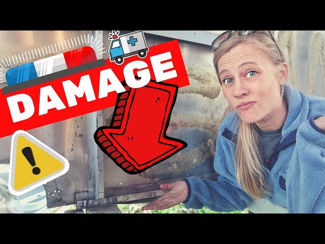 DAMAGE FOUND: Airstream Argosy Renovation 😬🛠 RV Living & Airstream Trailer