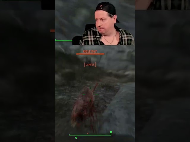 Mole Rat Jump Scare 😱 #sourkoolaidshow #fallout4 #jumpscare #gamingshorts