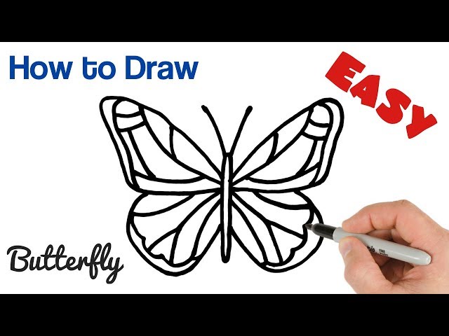 How to Draw a Butterfly easy step by step