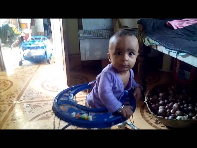यश राज शर्मा "मेरी" बॉकर में चलने की विडियो।