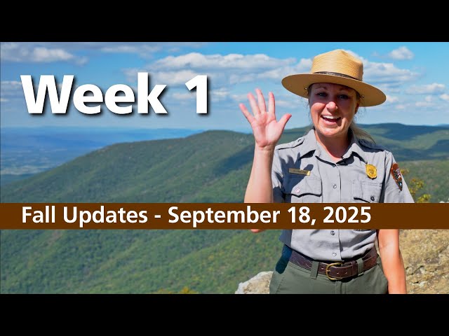 Fall Updates - September 18, 2025