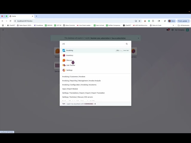 Odoo V18 - Slow Stock Report