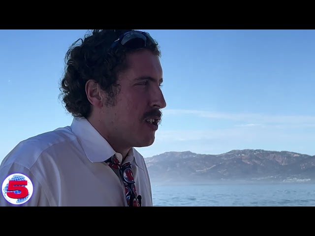 Addressing Hunter Biden Crypto Coin