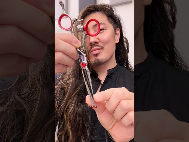 Phoenix Rising Ball-Tip shears scissors with #GuyTang