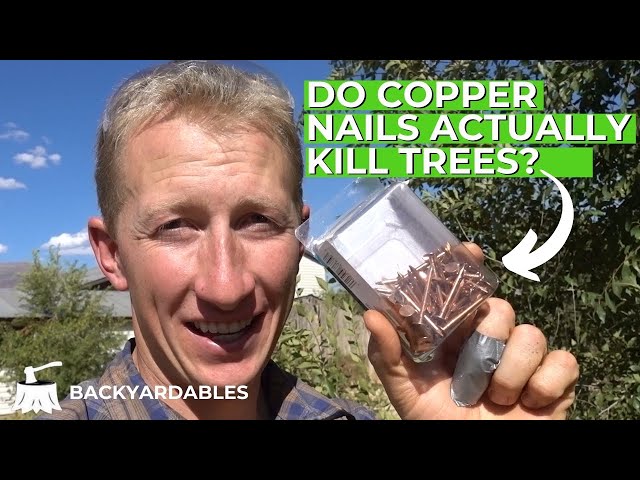 Do Copper Nails Actually Kill Trees?