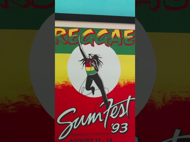 Mobay Summer Vibes