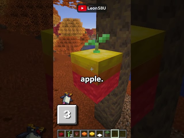 SECRET Cushion Build Hacks #minecraft