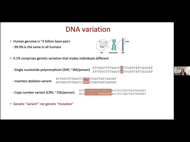 Niamh Mullins: Is there a link between suicide and genetics?