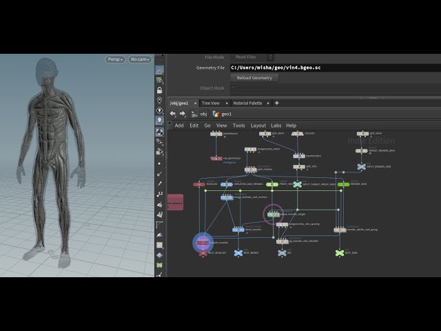 How to Very Quickly Create a Full Skeletal and Muscle System for Your Character